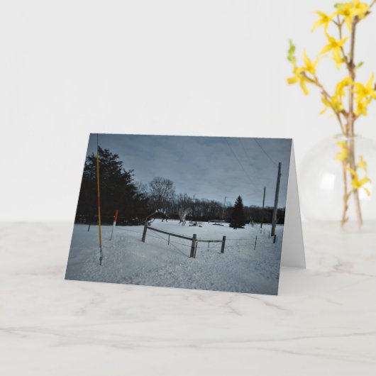 "Rampage in the Park" kerstKaart Kaart (Gele Bloem)