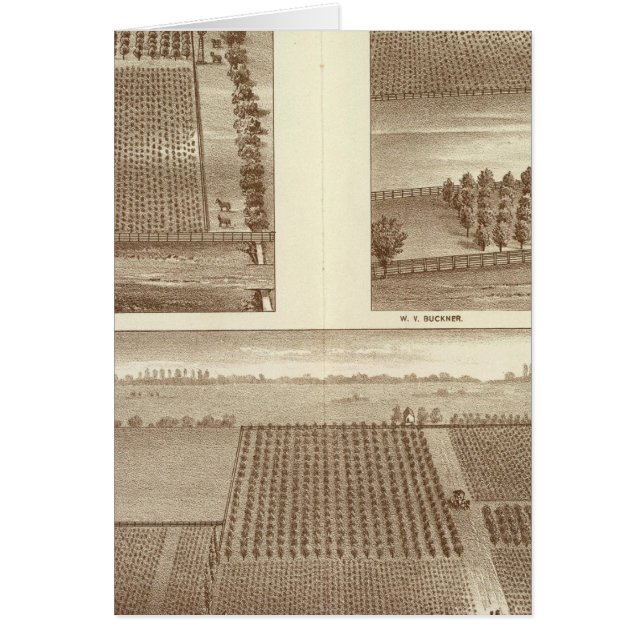 ranch de Lemoore (Devant)