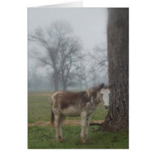 Ranch III de rivière de lune