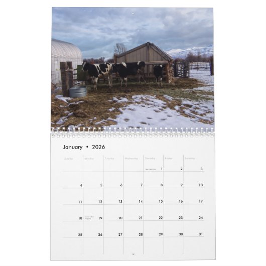 Ranch Life - Cattle Kalender (Jan 2026)
