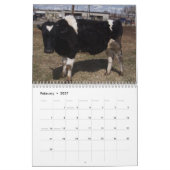 Ranch Life - Cattle Kalender (Feb 2027)