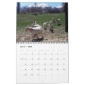 Ranch Life Kalender (Mar 2026)