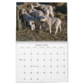 Ranch Life v2-kalender Kalender (Mar 2026)