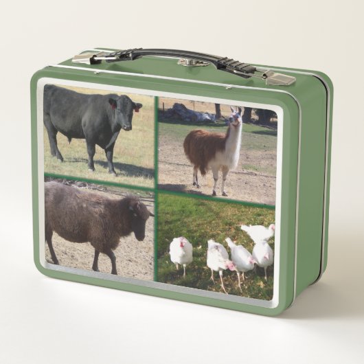 Ranch Life, vee (Achterkant)