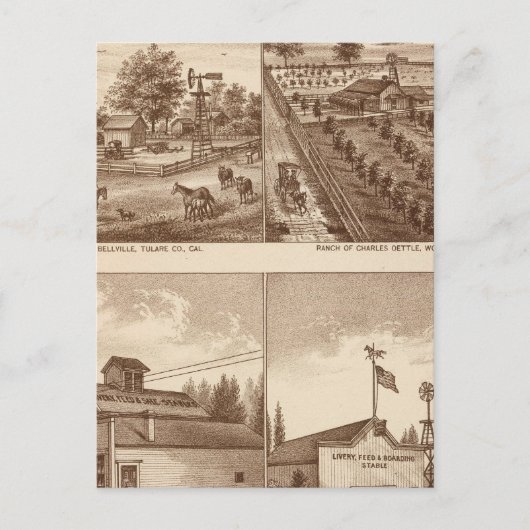 Ranches, stallen, Tulare Co., Cal Briefkaart (Voorkant)