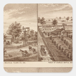 Ranches, stallen, Tulare Co., Cal Vierkante Sticker
