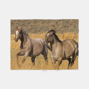 Ranchleven bij The Ponderosa Ranch Fleece Deken