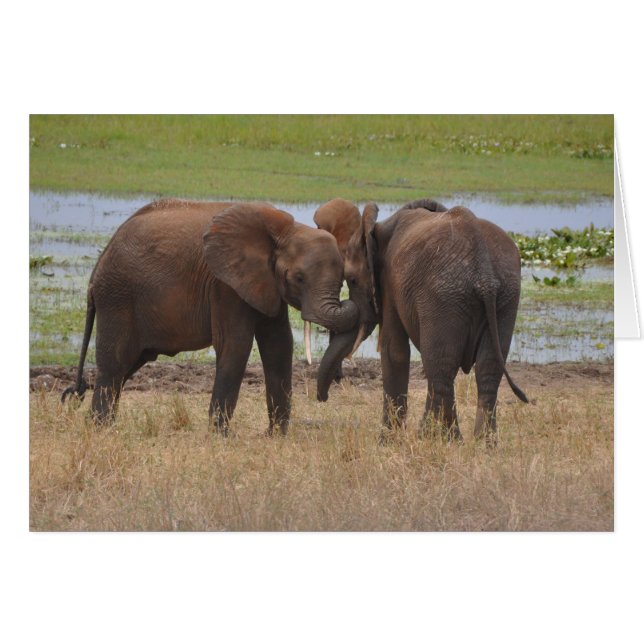 Rand (Voorkant Horizontaal)