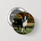 Rand Collie Autumn Standing Ronde Button 5,7 Cm (Voorkant /achterkant)