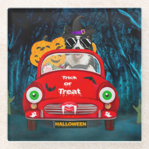 Rand Collie Dog Driving Car Scary Halloween Glazen Onderzetter