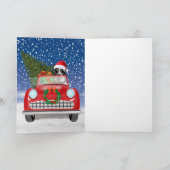 Rand Collie Dog rijdt met sneeuwkerst Programma (Binnen)