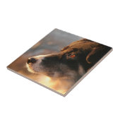 Rand Collie Foto's Tile Tegeltje (Zijkant)