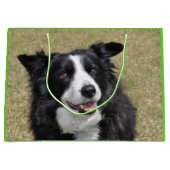 Rand collie groot cadeauzakje (Voorkant)