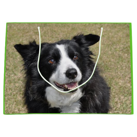 Rand collie groot cadeauzakje (Voorkant)