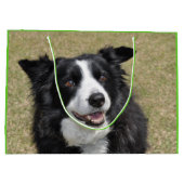 Rand collie groot cadeauzakje (Achterkant)