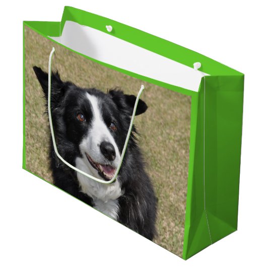 Rand collie groot cadeauzakje (Voorkant Gekanteld)