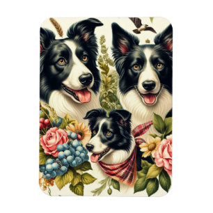 rand collie illustratie magneet