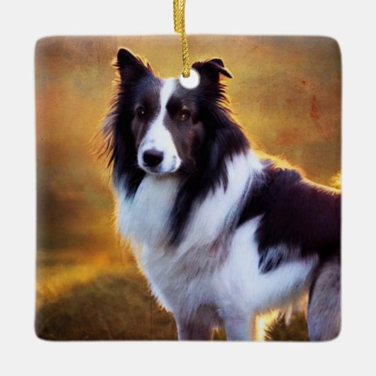 Rand collie keramisch ornament (Voorkant)