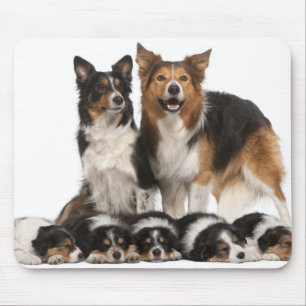 Rand collie muismat