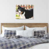 Rand Collie Panting 1 Canvas Afdruk (Insitu (Slaapkamer))