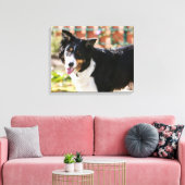 Rand Collie Panting 1 Canvas Afdruk (Insitu (Woonkamer))