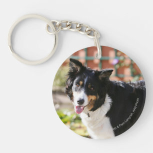 Rand Collie Panting 1 Sleutelhanger
