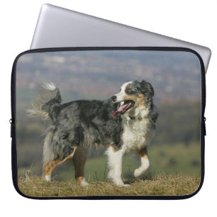 Rand Collie Panting 2 Laptop Sleeve