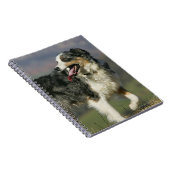 Rand Collie Panting 2 Notitieboek (Rechterzijde)