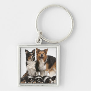 Rand collie sleutelhanger