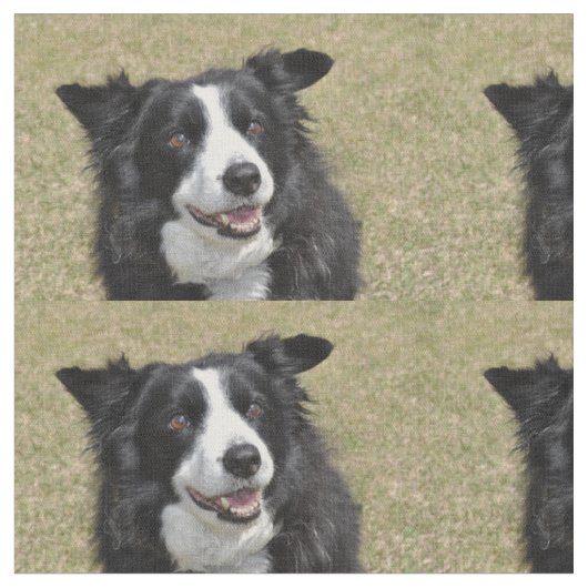 Rand collie stof (Close Up)