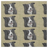 Rand collie stof (Swatch)