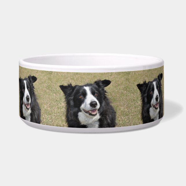 Rand collie voerbakje (Voorkant)