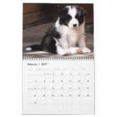 Rand Collies Calendar Kalender (Feb 2027)