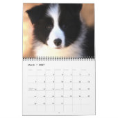 Rand Collies Calendar Kalender (Mar 2027)