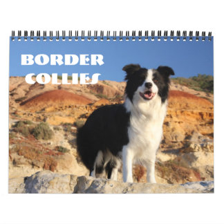 Rand Collies Calendar Kalender