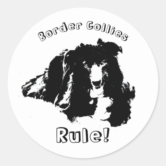 Rand Collies Rule Cute Dog Ronde Sticker (Voorkant)