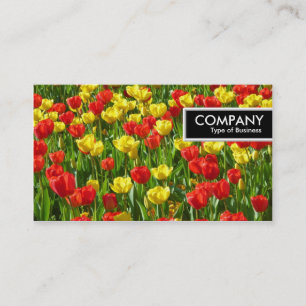 Rand Label - Zee Tulpen III