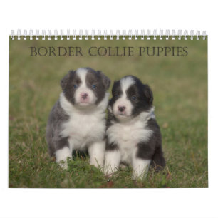 Rand Puppies wandkalender Kalender