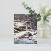 Rand van de Briefkaarten van de Nacht (Staand voorkant)