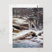 Rand van de Briefkaarten van de Nacht (Voorkant / Achterkant)