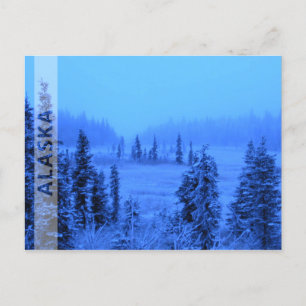 Rand voor uw Alaskavakantiefoto Briefkaart