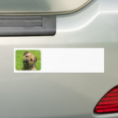 Randapparaat 9W009D-127 Bumpersticker (Op auto)