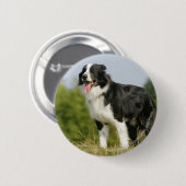 Randkoppeling voor het uitrusten ronde button 5,7 cm (Voorkant /achterkant)