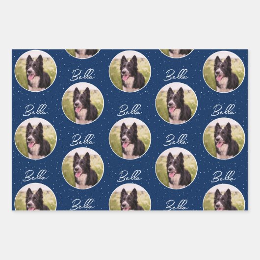 Randnaam Collie Dog Photo Trendy Script Pet Inpakpapier Vel (Voorkant)