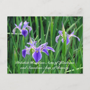 Random Act of Kindess Briefkaart - Paarse Iris