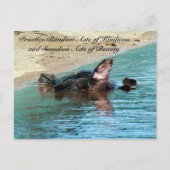 Random Act of Kindess Briefkaart - Soft Shell Turt (Voorkant)