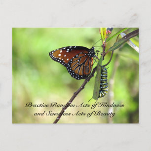 Random Act of Kindness Briefkaart - Queen Butterfl