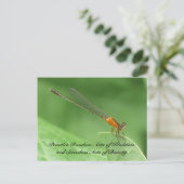 Random Acts of Kindness Briefkaart - Damselfly (Staand voorkant)