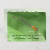 Random Acts of Kindness Briefkaart - Damselfly (Voorkant / Achterkant)