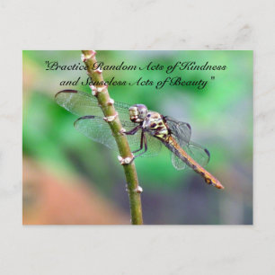 Random Acts of Kindness Briefkaart - Dragonfly
